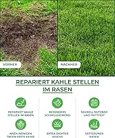 Natureflow Rasensamen schnellkeimend 1 kg — Bild 4