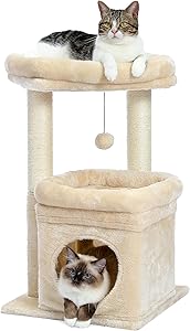 PAWZ Road Katzenbaum AY401 70 cm Test & Bewertung