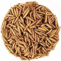 EWL Naturprodukte Soldatenfliegenlarven getrocknet 1 kg — Bild 5