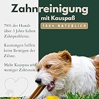 TIER HELDEN BREERs Rinderkopfhaut 1 kg — Bild 4