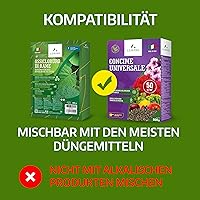 LERAVA Kupferoxychlorid 800 g — Bild 7