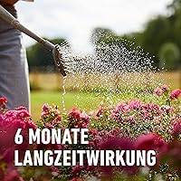 COMPO Rosen Langzeit-Dünger 2 kg — Bild 5