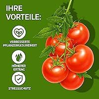 LERAVA Kupferoxychlorid 800 g — Bild 2