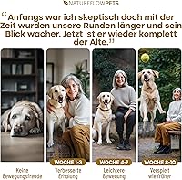 Natureflow Gelenktabletten Hund 100 Stück — Bild 3