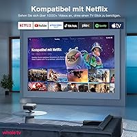 VISSPL H10 — Bild 2