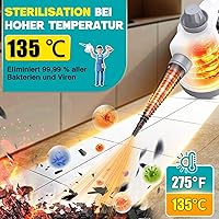 Rolipo TMSC-001 Dampfreiniger — Bild 2