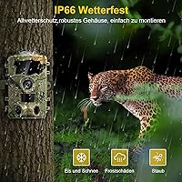 Lutranstra D909 Wildkamera — Bild 6