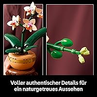 LEGO Botanicals Mini-Orchidee 10343 — Bild 4