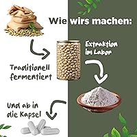 Blattwerk360 Nattokinase 2000 FU 365 Kapseln — Bild 4