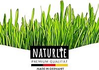 Naturlie Katzengras Samen 200g — Bild 7