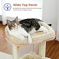 PAWZ Road Katzenbaum AY401 70 cm — Bild 5