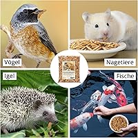 EWL Naturprodukte Soldatenfliegenlarven getrocknet 1 kg — Bild 2