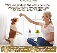 Natureflow Gelenktabletten Hund 100 Stück — Bild 6