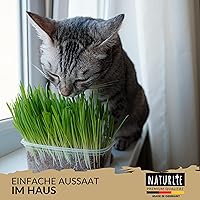 Naturlie Katzengras Samen 200g — Bild 6