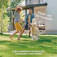 TerraDomi Eisendünger 25 kg — Bild 4