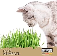 Naturlie Katzengras Samen 200g — Bild 5