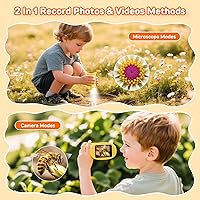 Ashfly inskam382 — Bild 7