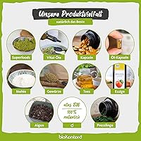 bioKontor Bio Sencha Grüntee 250 g — Bild 7