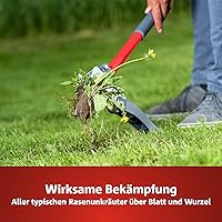 WOLF-Garten SQ 450 Unkrautvernichter + Rasendünger 9 kg — Bild 3