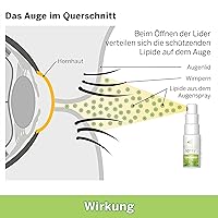 Ocuvers Lipostamin Augenspray 15ml — Bild 7