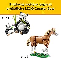 LEGO Creator 3-in-1 Tropischer Tukan 31173 — Bild 8