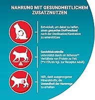 Purina One Bifensis Sterilcat Trockenfutter Huhn 5,7 kg — Bild 3