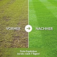 Terra Domi Rasendünger NPK 15-15-15 25 kg — Bild 3