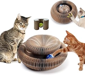 Magic Organ Cat Scratching Board Test & Bewertung