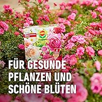 COMPO Rosen Langzeit-Dünger 2 kg — Bild 6