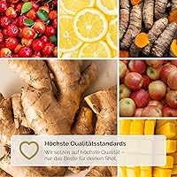 Hansegrün Bio Ingwer Kurkuma Shots 120g — Bild 7