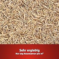 WOLF-Garten Sport- & Spielrasen LG 125 (2,5 kg) — Bild 6