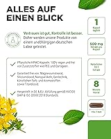 Vit4ever Johanniskraut Extrakt 240 Kapseln — Bild 4