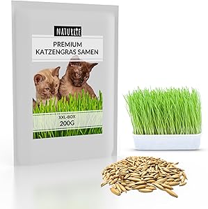 Naturlie Katzengras Samen 200g Test & Bewertung