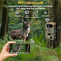 Lutranstra D909 Wildkamera — Bild 2