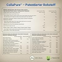 Wehle Sports Collagen Pulver 500g — Bild 7