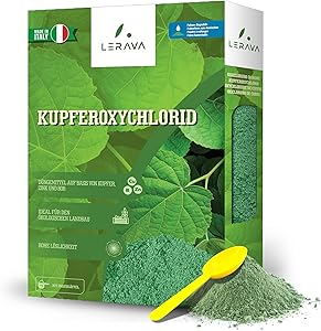LERAVA Kupferoxychlorid 800 g Test & Bewertung