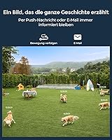 Reolink Duo 3V PoE — Bild 3