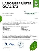 Vit4ever Ginkgo Biloba 6000 mg 365 Tabletten — Bild 7