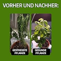 LERAVA Kupferoxychlorid 800 g — Bild 3