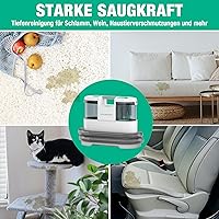 HAUSHOF StainZapper Pro Waschsauger — Bild 8