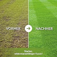 TerraDomi Eisendünger 25 kg — Bild 3