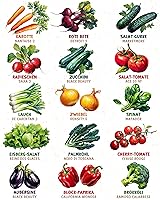 ZenGreens Bio Gemüsesamen Set (15 Sorten) — Bild 4