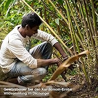 Pfefferdieb Wilder Grüner Kardamom ganz 100g — Bild 7