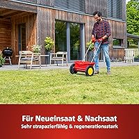 WOLF-Garten Sport- & Spielrasen LG 125 (2,5 kg) — Bild 3