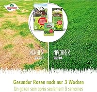 Verdurmax Rasendünger Frühling & Sommer 5 kg — Bild 6