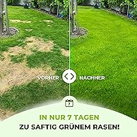 TerraUno Rasendünger Frühjahr/Sommer 20 kg — Bild 2