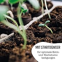 valeaf Kokos-Quelltabletten 50 Stück — Bild 4