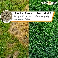 versando Rasendünger NPK 12+5+5 10 kg — Bild 2