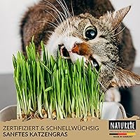 Naturlie Katzengras Samen 200g — Bild 3