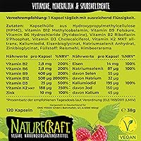 NatureCraft Vegan All-in-One 120 Kapseln — Bild 3